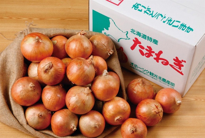 玉ねぎ 北海道産Ｌサイズ20kg - 野菜