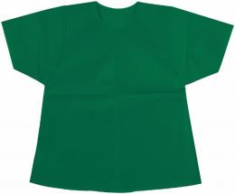 衣装ベースCシャツ緑　※個人宅配送不可の商品画像
