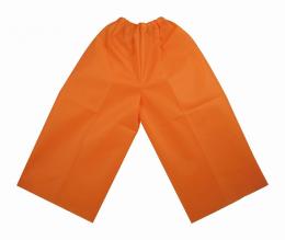 衣装ベースSズボンオレンジ　※個人宅配送不可の商品画像